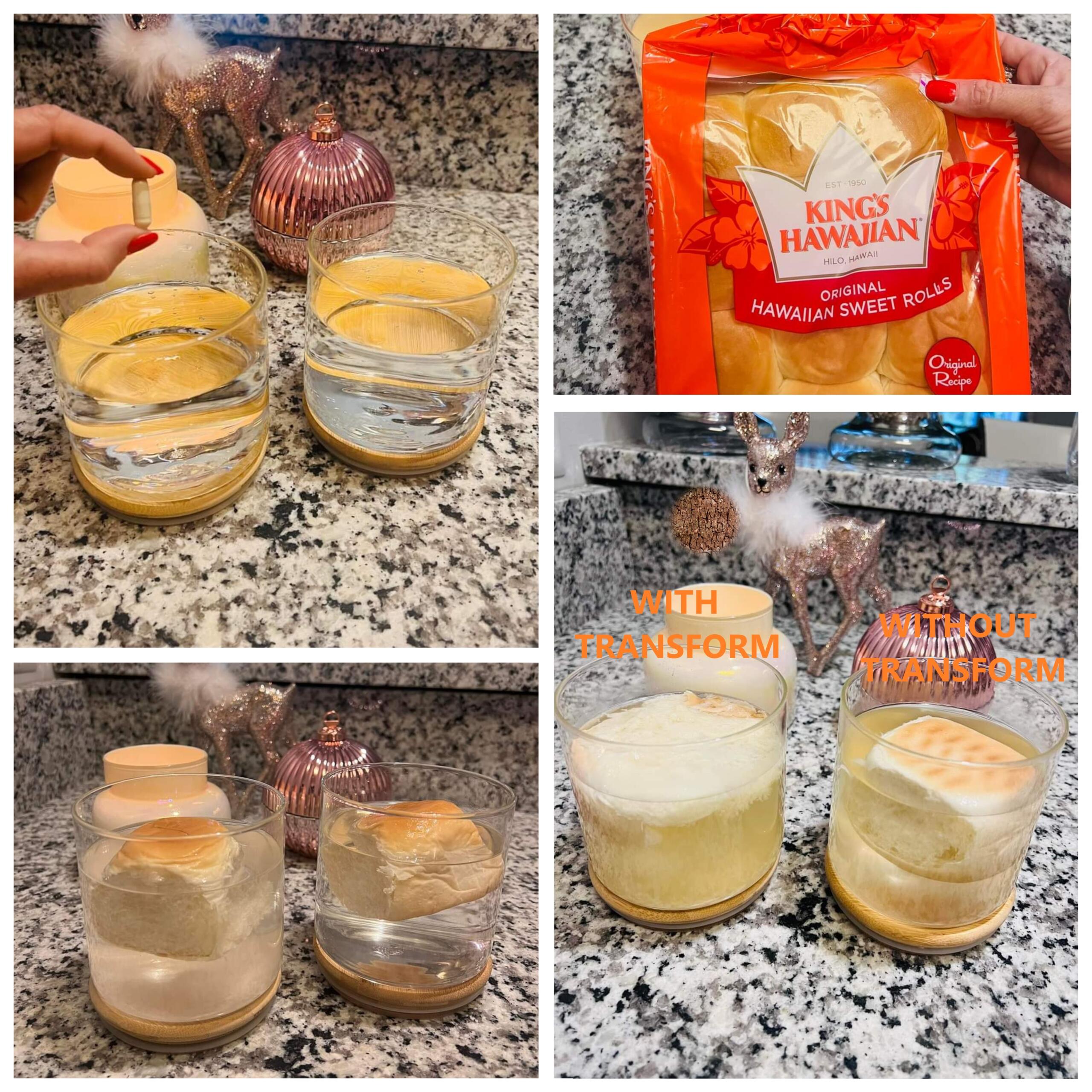 Shows 2 cups of water with a roll, one cup has a Transform pill and has dissolved the bread.